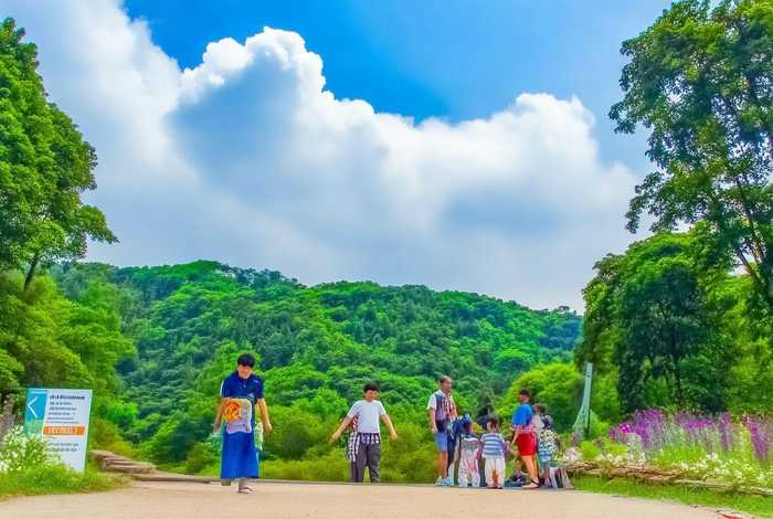漯河森林公园；漯河森林公园门票多少钱一张