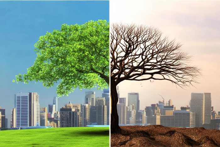 网络营销专业优势 - 网络营销专业优势和劣势