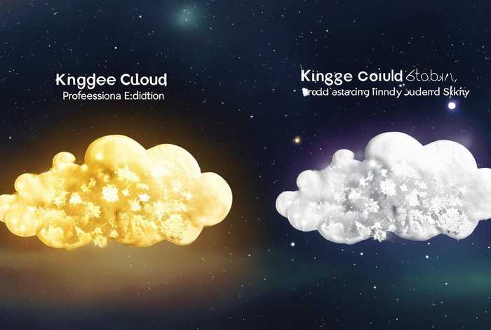 金蝶云星辰专业版和标准版的区别 金蝶云星辰和云星空区别 金蝶云星辰专业版和标准版的区别 金蝶云星辰和云星空区别