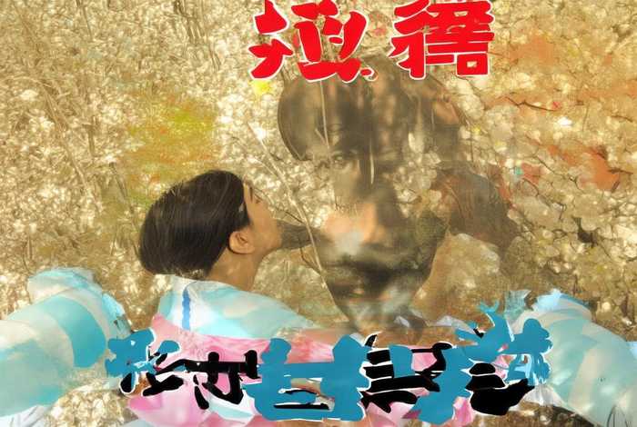 黄冈网校登录入口在哪 黄冈网校登录入口在哪个位置 黄冈网校登录入口在哪 黄冈网校登录入口在哪个位置