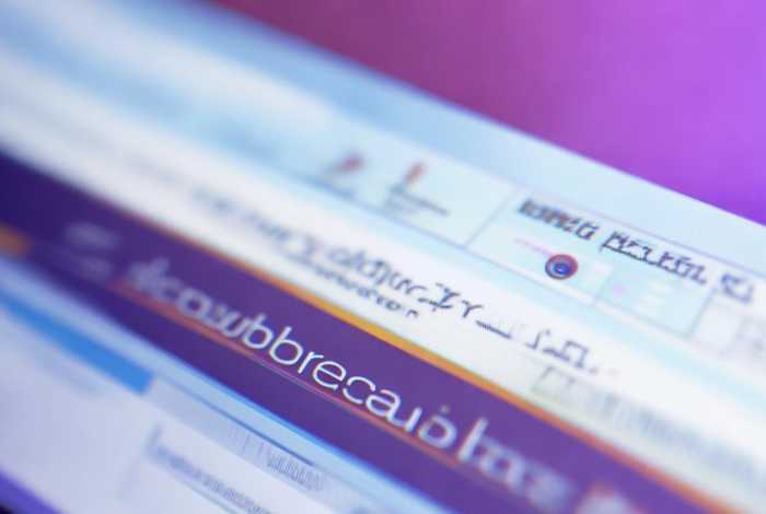 外国网站的浏览器怎么下载软件;外国网站的浏览器怎么下载软件安装 外国网站的浏览器怎么下载软件;外国网站的浏览器怎么下载软件安装