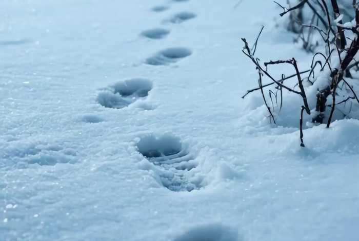 网络科技有限公司挣钱吗（网络科技有限公司挣钱吗是真的吗）