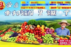 农产品推广实施方案 - 农产品推广实施方案模板