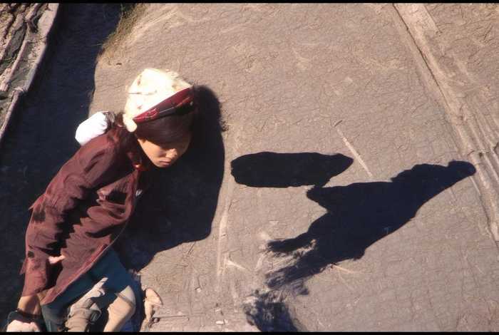 哪个网站可以自学编程 - 哪个网站可以自学编程软件 哪个网站可以自学编程 - 哪个网站可以自学编程软件