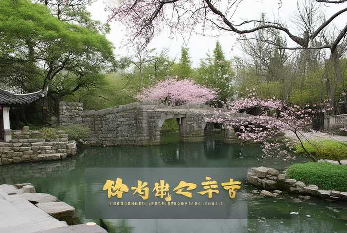 苏州网络有限公司 - 苏州网络有限公司是国企吗