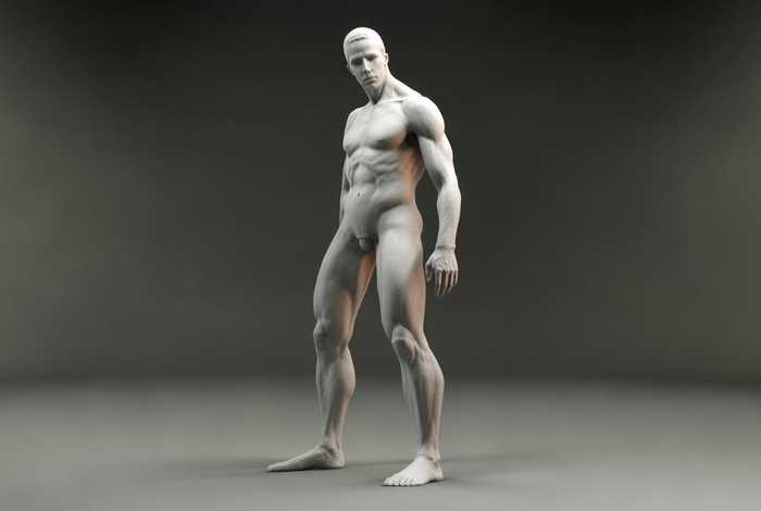 人体模板素材站立，人体模板素材站立视频