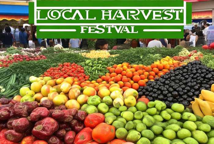 农产品推广活动小结 - 农产品推广活动小结范文