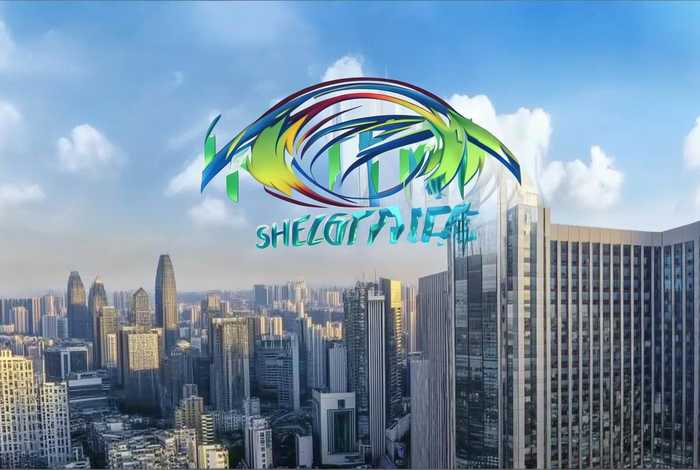 深圳前十vi设计公司排名（深圳前十vi设计公司排名榜）