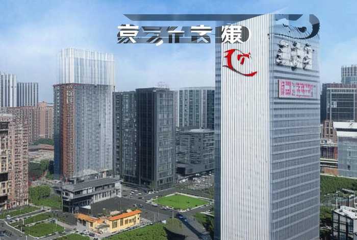 深圳城市投资是国企吗，深圳城市投资是国企吗还是私企