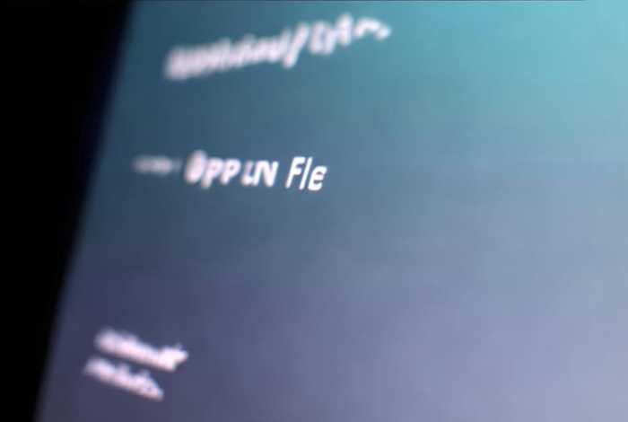 网页版管理系统怎么打开 - 网页版管理系统怎么打开文件