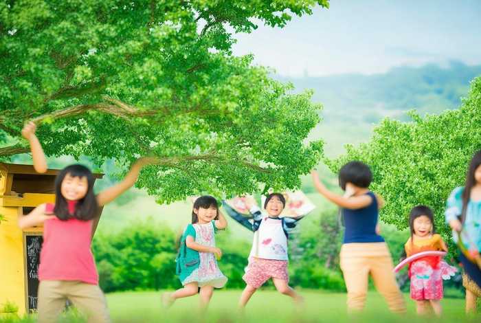 青春树儿童摄影，青春树儿童摄影网页制作代码