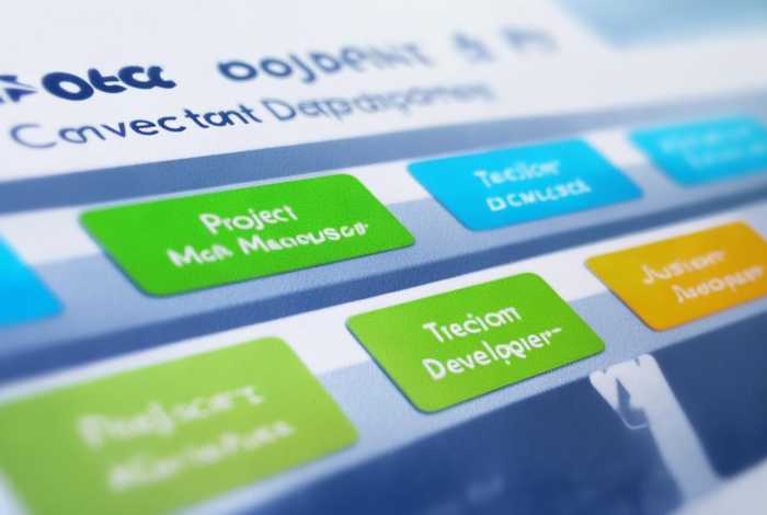 开发公司项目部组织架构 - 开发公司项目部组织架构及职责