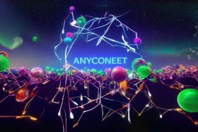 免费的外国服务器，免费的外国服务器可以在anyconnet里运行