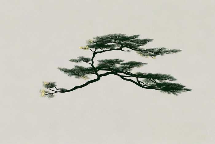 免费设计自己的签名胡雪松简单、胡松的艺术签名