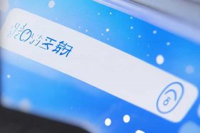 企业服务平台官网入口登录网址（企业服务平台官网入口登录网址是多少）