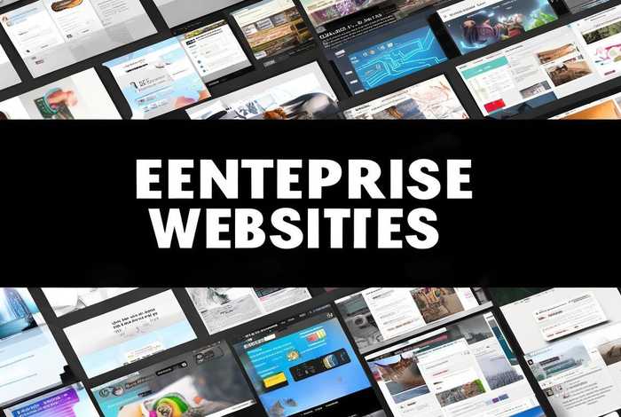 企业自建网站有哪些、企业自建网站有哪些类型