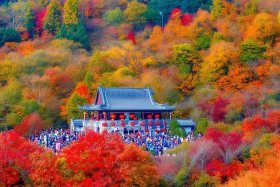 乐清网红打卡景点秋天 乐清网红打卡景区