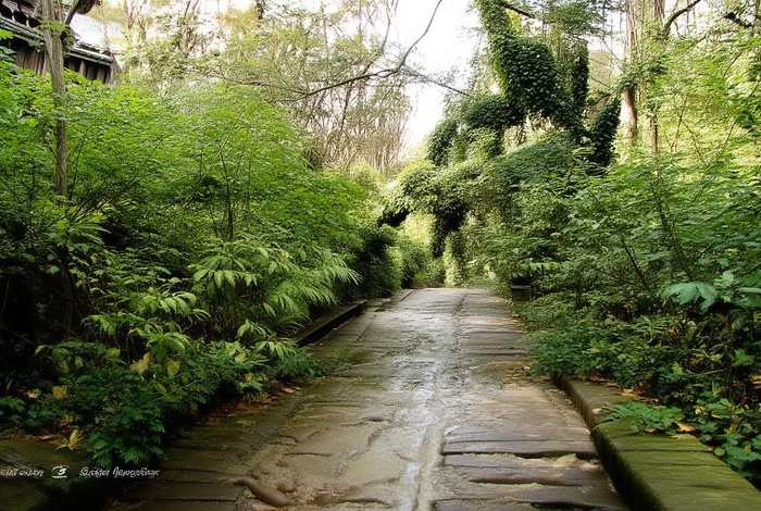 设置网站兼容性、设置网站兼容性怎么设置