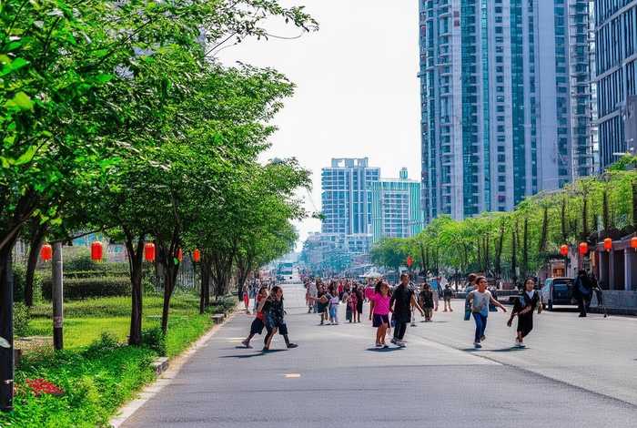 深圳市龙岗区布吉街道教育新村 深圳市龙岗区布吉街道教育新村社区电话 深圳市龙岗区布吉街道教育新村 深圳市龙岗区布吉街道教育新村社区电话