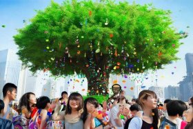 青春树教程；北京青春树动漫科技有限公司