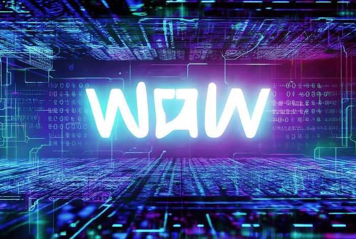 主机域名中www是什么意思、主机域名中www是什么意思啊