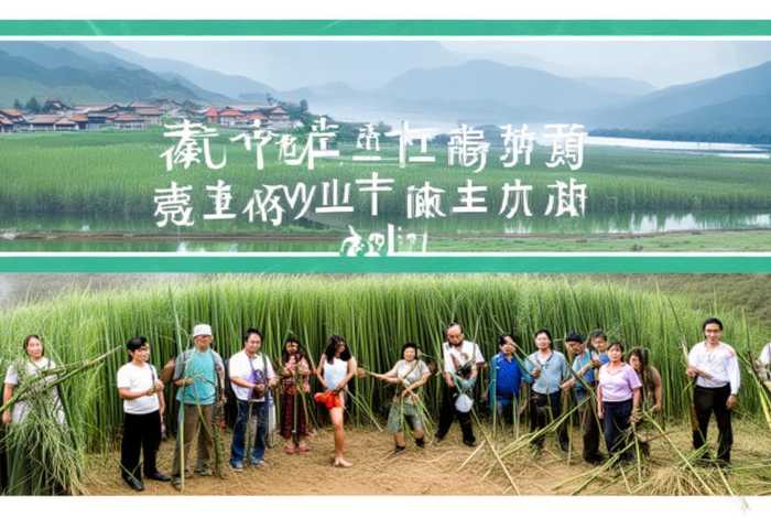 竹子致富项目、竹子致富项目有哪些 竹子致富项目、竹子致富项目有哪些