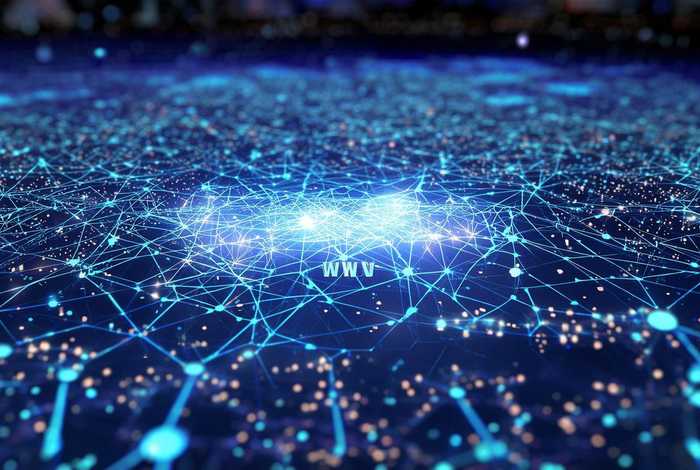 在网络中www是什么意思；在网络中www是什么意思呀