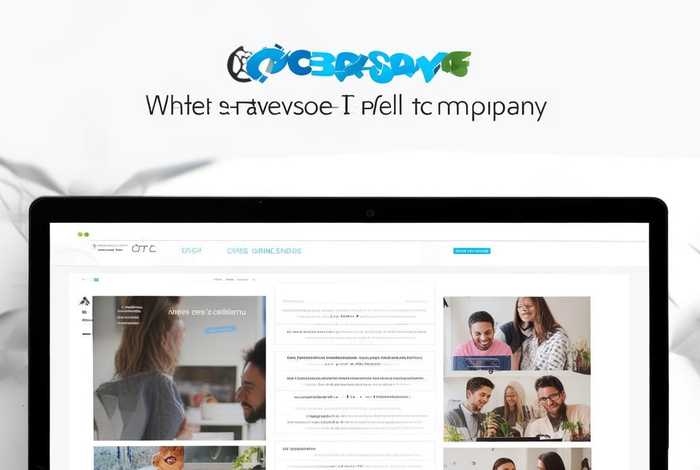 专业网站开发官网招聘（专业网站开发公司）