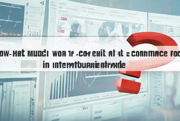 做一个外贸独立站要多少钱、做一个外贸独立站要多少钱呢