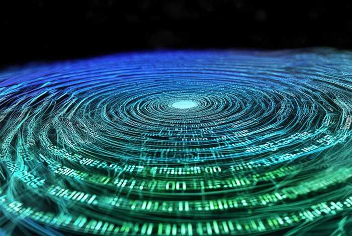 域名分类有哪几种等级，域名分类有哪几种等级的