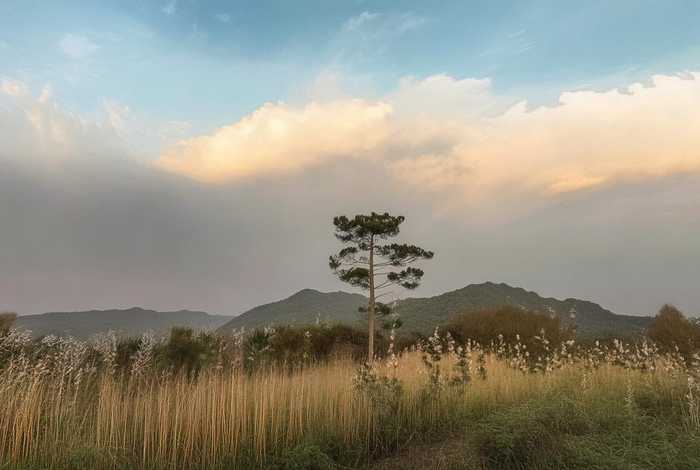 云南邮箱提取外贸软件平台、云南邮箱提取外贸软件平台是什么