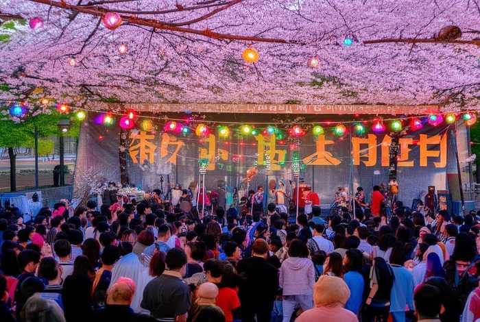 樱桃传媒文化活动；樱桃文化传媒有限公司