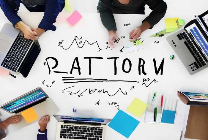 怎么做自己的平台软件；怎么做自己的平台软件推广