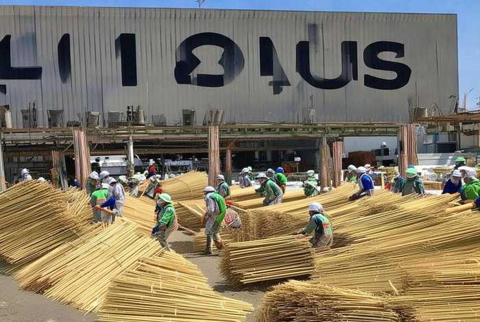 竹子加工厂加盟电话多少,竹子加工厂加盟电话多少号 竹子加工厂加盟电话多少,竹子加工厂加盟电话多少号