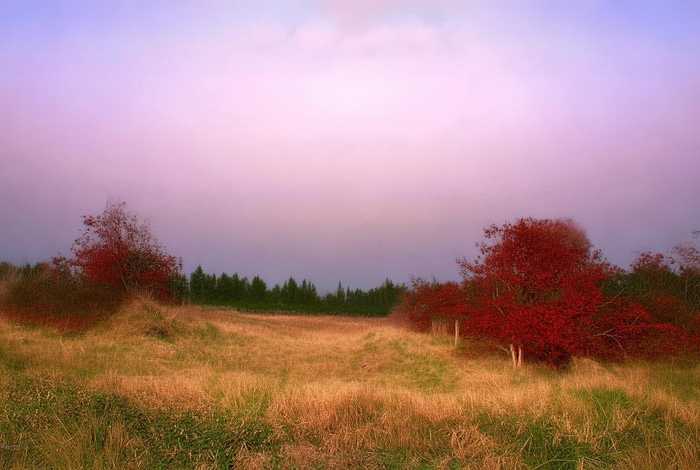 在杭州软件开发月薪多少（在杭州软件开发月薪多少钱）