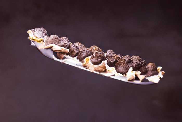 小说网页突然打不开 - 小说网页突然打不开什么原因