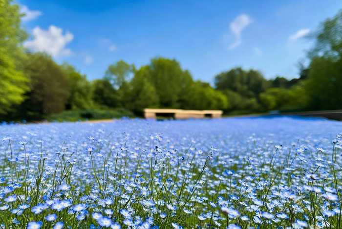 忘忧草网址最新版（忘忧草网址查询）