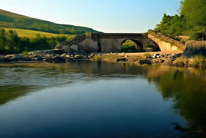 域名的叙述，域名叙述正确的是