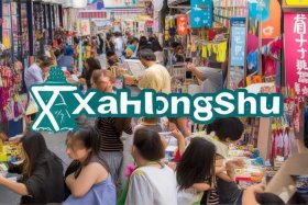 小红书的服务内容；小红书的服务内容有哪些