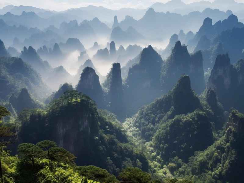 www是指万维网吗（www、 com、 cn分别代表什么含义）
