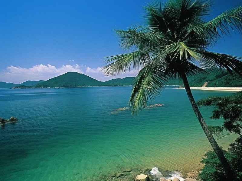 旅游网站网页设计源代码(怎样才能做出一个吸引人的漂亮的旅行社网站) 旅游网站网页设计源代码(怎样才能做出一个吸引人的漂亮的旅行社网站)