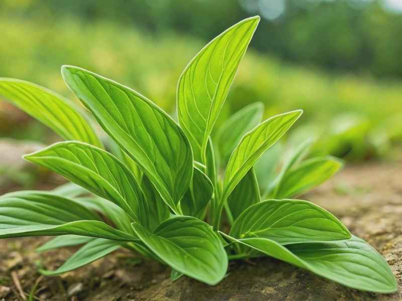 海天雄鹰最新视频完整版 - 海天雄鹰最新视频完整版免费观看 海天雄鹰最新视频完整版 - 海天雄鹰最新视频完整版免费观看