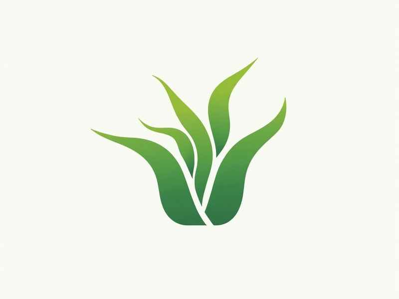 logo设计模板图片 - logo设计模板步骤图 logo设计模板图片 - logo设计模板步骤图