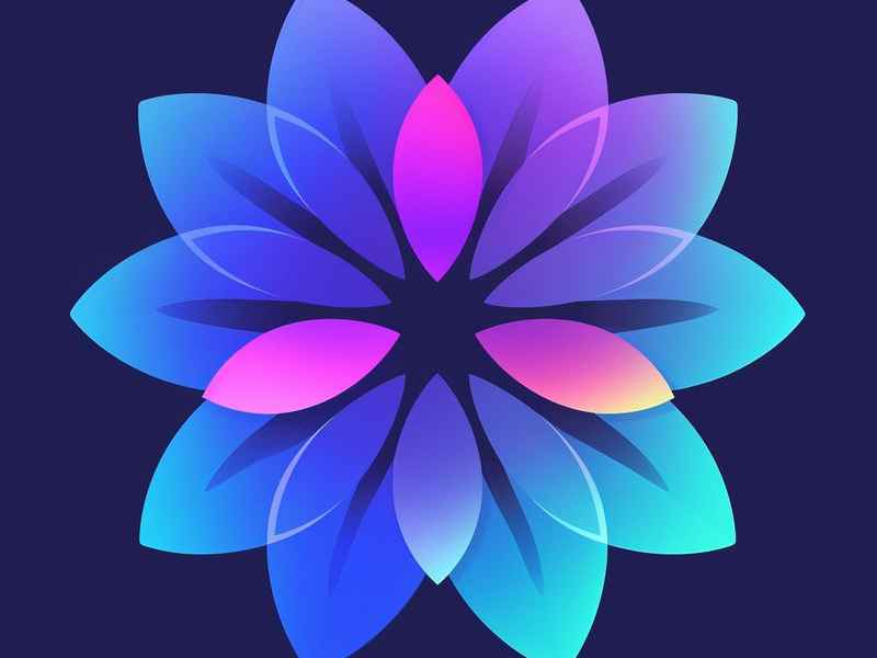 花瓣网免费素材图库app；花瓣网免费素材图库展架