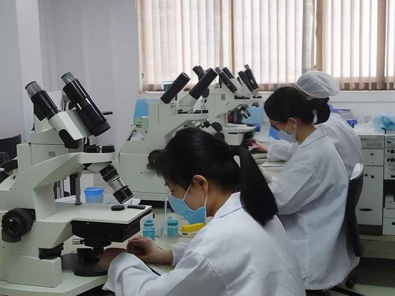 广州市建设工程检测中心网站 广州市建设工程检测中心网站官网
