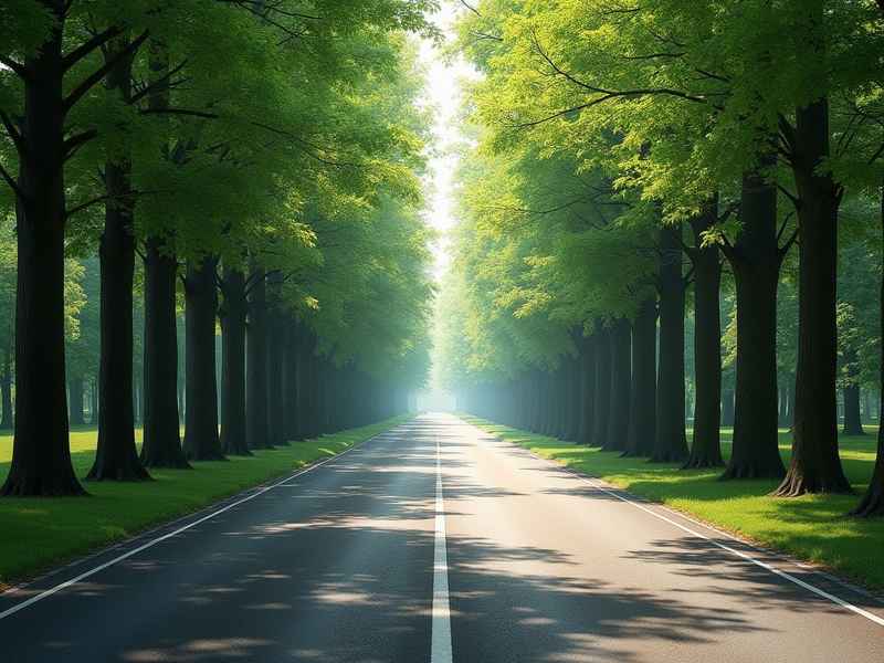 道路作文素材（关于道路的作文素材）