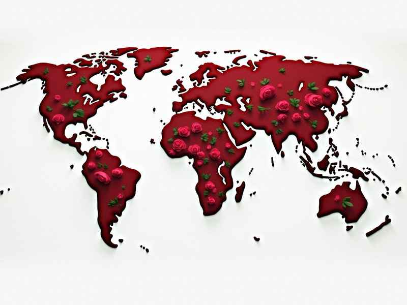 广州外贸公司地址(广州外贸公司地址电话) 广州外贸公司地址(广州外贸公司地址电话)