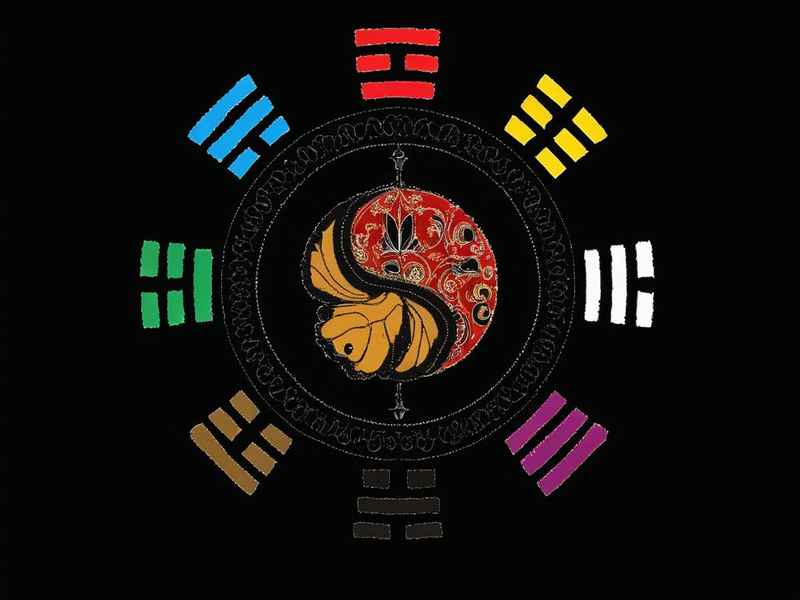 九易是什么意思 九易是什么意思网络用语