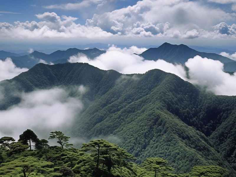 庐山牯岭镇15天天气百度、庐山牯岭镇风景区15天天气