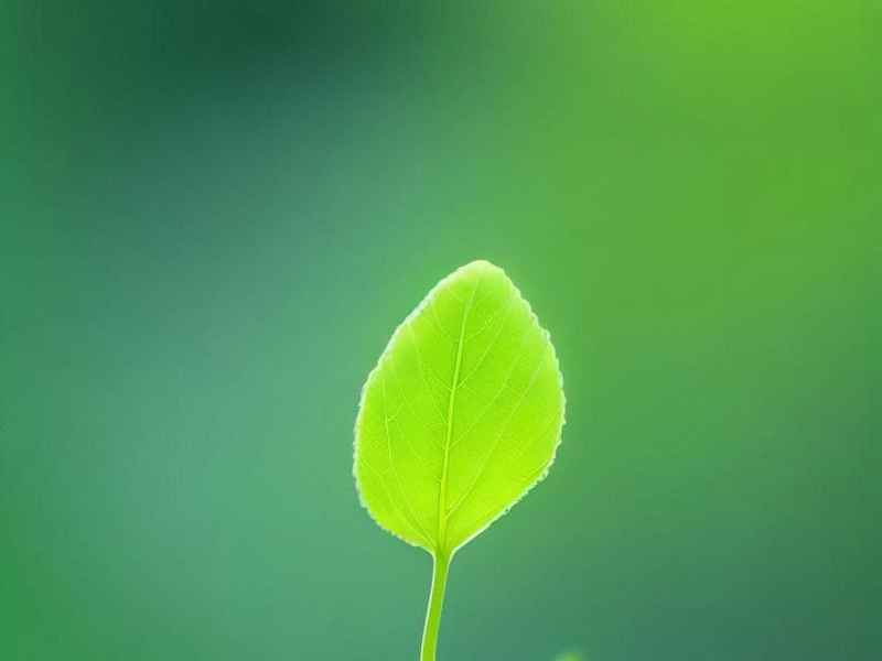 跨境电商商业计划书范本 - 跨境电商商业计划书范本大全 跨境电商商业计划书范本 - 跨境电商商业计划书范本大全